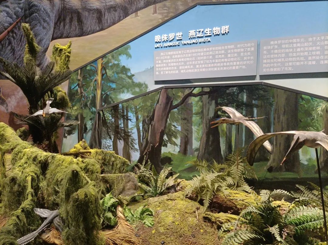 2065eb817f9e6f8a4f1cb429eddb0a53