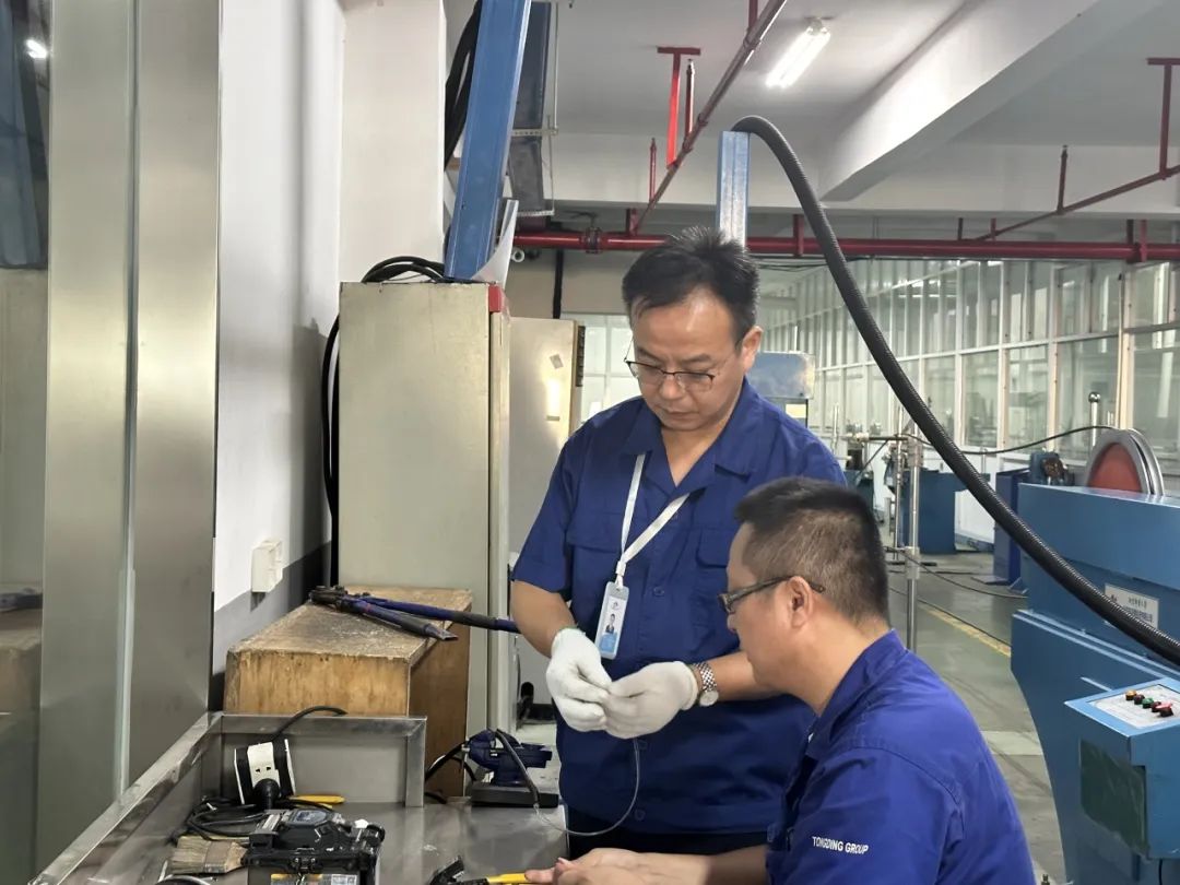 8b40ddd9319cf0f5a279899e3f0ad647